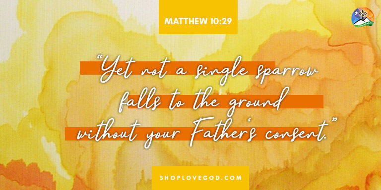 Daily Devotion August 31 2020
